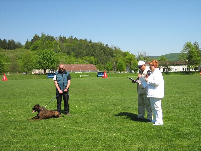 www.atibox.net * www.euroboxer.eu * www.boxergenealogia.eu